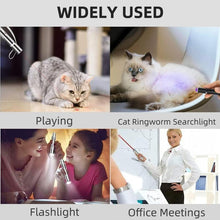Load image into Gallery viewer, USB Rechargeable Interactive Kitten for Cats
