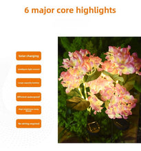 Load image into Gallery viewer, Solar Garden Lights Set of 2
