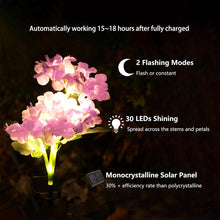 Load image into Gallery viewer, Solar Garden Lights Set of 2
