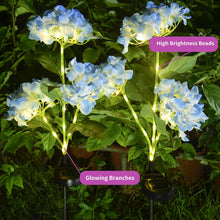 Load image into Gallery viewer, Solar Garden Lights Set of 2
